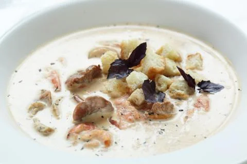 Soup in the white dish Stock Photos