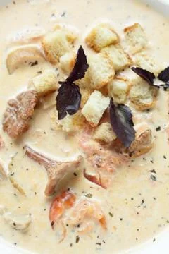 Soup in the white dish Stock Photos