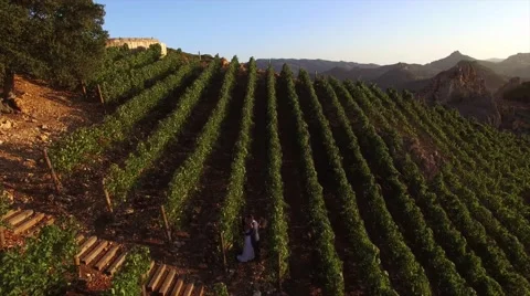 Сouple at a wine yard Vídeos de archivo 52922512
