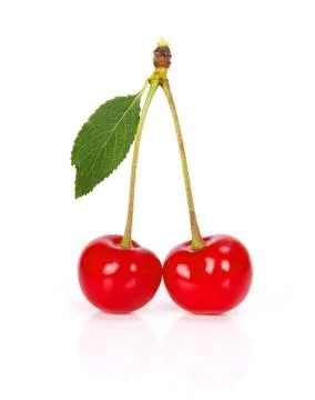 Sour cherry Stock Photos
