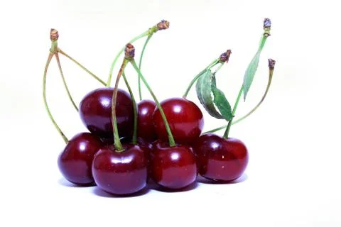 Sour cherry Stock Photos