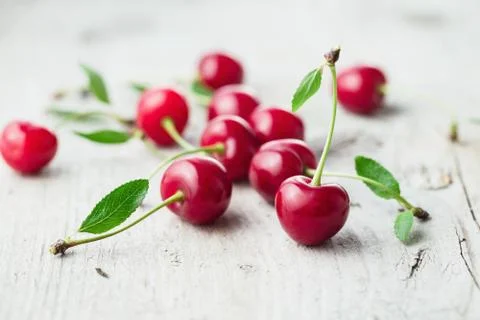 Sour Cherry Stock Photos