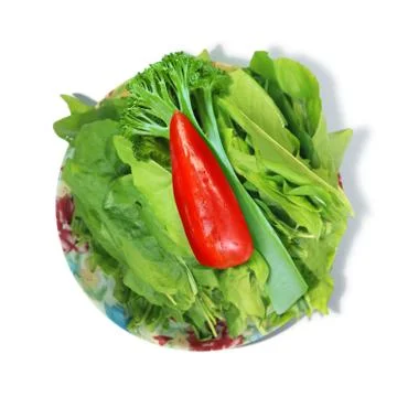 Sour dock Stock Photos