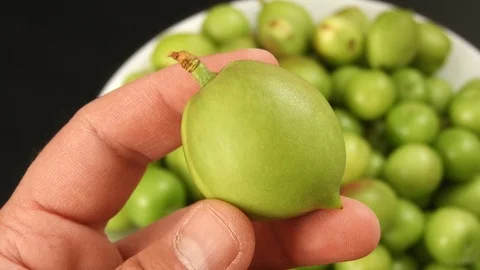 Sour nectarine fruit in a person's hand,close-up raw nectarine and sour plum 動画素材 129857269