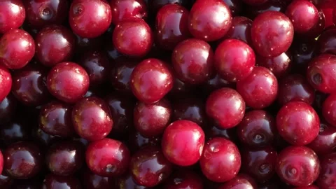 Sour red cherry background rotation. Fresh juicy wet spinning cherry berries Stock Footage 235611090