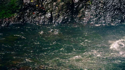 Source of clear water in a rock pool Stock Footage 253838347