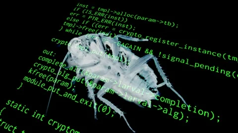 Source code cockroach huge diagonal Vidéo 272805150