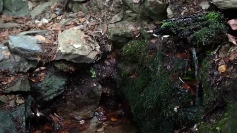 A source of drinking water from rocks Stock Footage 143899240