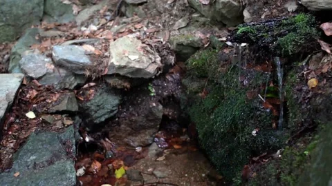 A source of drinking water from rocks Video stock 143899319