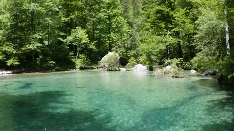 Source of Emerald Kamniška Bistrica River. Stock Footage 168497881