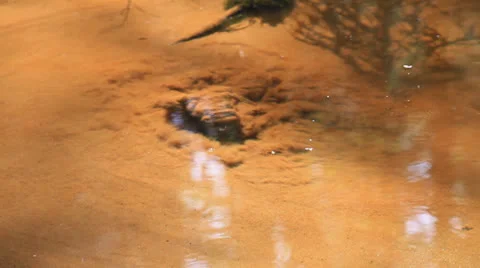 Source in Finand Stock Footage 24727466