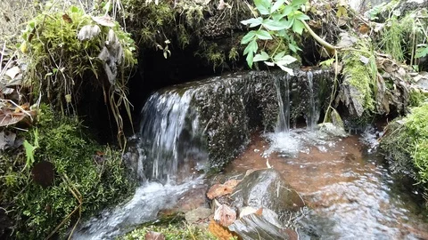 Source Stock Footage 117452249