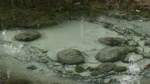 A source in the forest that has walking rocks Stock Footage