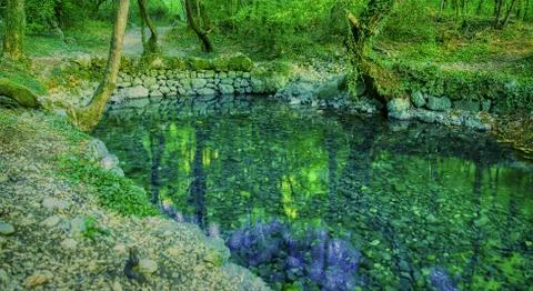 Source of the Grab stream, the tributary of the river Cetina, Croatia Stock-Fotos
