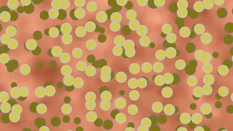 Source of illness. Yellow dangerous bacterias or virus in animal blood. Beginnin Stock Footage 228107021