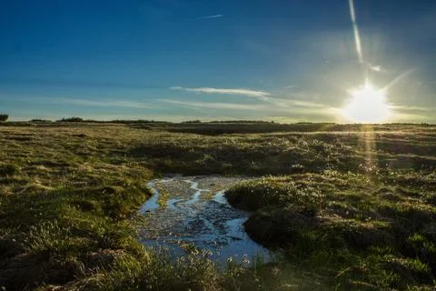 Source of the Lab in the Czech Republic Stock Photos