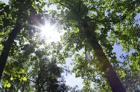 Source of Life Stock-Fotos