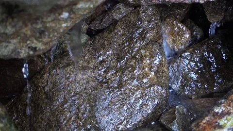 The source of living water Stock Footage 107779593