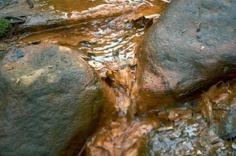 Source of mineral water Foto stock
