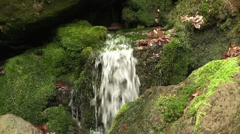 A source in the mountain Stock Footage 43742843