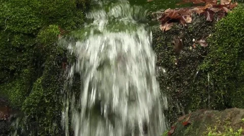 A source in the mountain Stock Footage 43742872