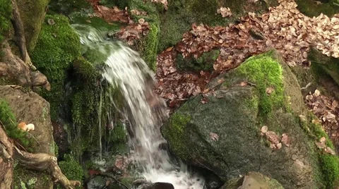 A source in the mountain Stock Footage 43742883