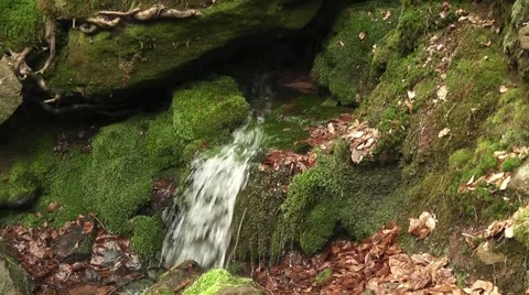 A source in the mountain Stock Footage 43742890