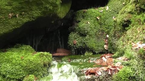 A source in the mountain Stock Footage 43743210