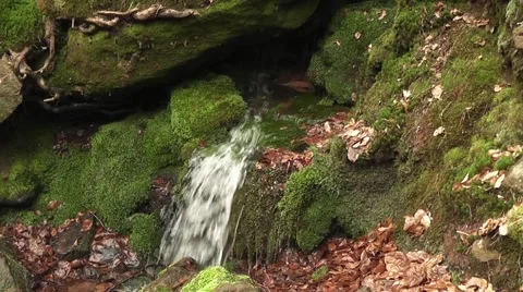 A source in the mountain Stock Footage 43743329