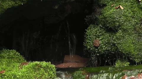 A source in the mountain Stock Footage 43743351