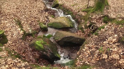 A source in the mountain Stock Footage 43743366