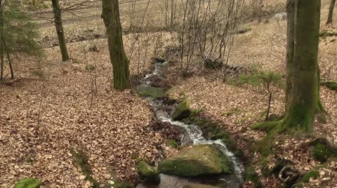 A source in the mountain Stock Footage 43743373