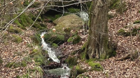 A source in the mountain Stock Footage 43743512