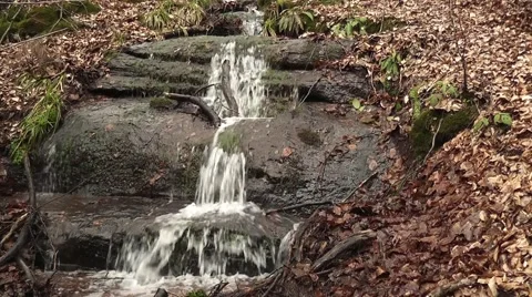 A source in the mountain Stock Footage 43743536