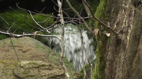 A source in the mountain Stock Footage 43743548