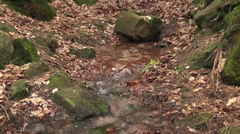 A source in the mountain Stock Footage 44804794