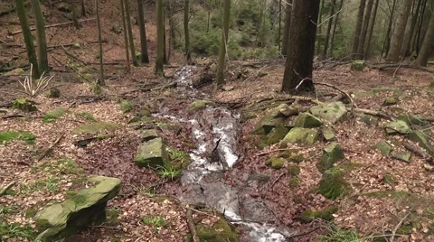 A source in the mountain Stock Footage 44804828