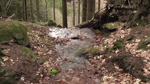 A source in the mountain Stock Footage 44805070