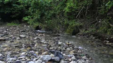 At the source of a mountain river. Stock Footage 162625700