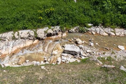 The source of the mountain river originates in the mountains on alpine meadow Stock Photos