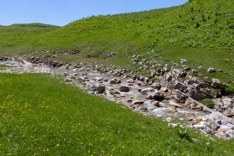 The source of the mountain river originates in the mountains on alpine meadow Stock Photos