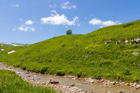 The source of the mountain river originates in the mountains on alpine meadow Stock Photos