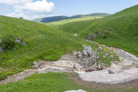 The source of the mountain river originates in the mountains on alpine meadow Stock Photos