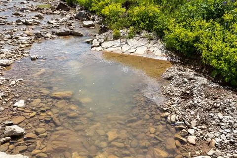 The source of the mountain river originates in the mountains on alpine meadow Stock Photos