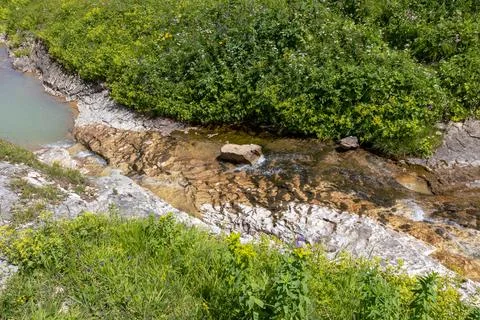 The source of the mountain river originates in the mountains on alpine meadow Stock Photos