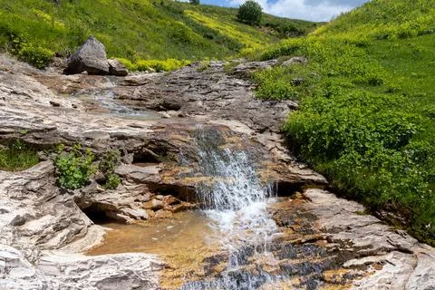 The source of the mountain river originates in the mountains on alpine meadow Stock Photos