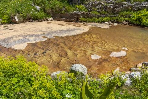 The source of the mountain river originates in the mountains on alpine meadow Stock Photos