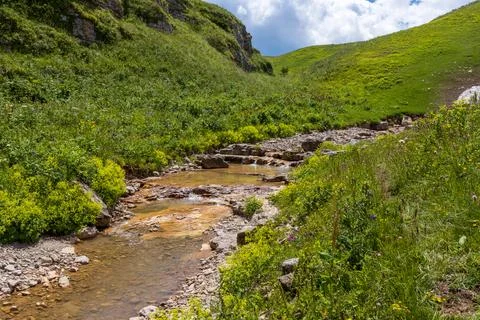 The source of the mountain river originates in the mountains on alpine meadow Stock Photos