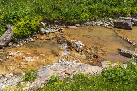 The source of the mountain river originates in the mountains on alpine meadow Stock Photos