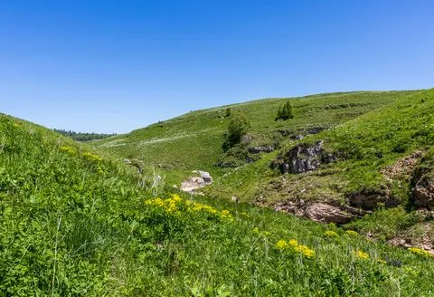 The source of a mountain river, on the slopes and in a stone riverbed in the Stock Photos